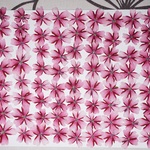 押し花商品【バーベナ　キャンディ　ケーン】
