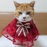 レッドXmasドレス