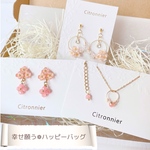 【数量限定】幸せ願う❁ハッピーバッグ　クリスマス　コフレ