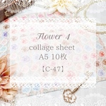  【C-47】Flower 4
