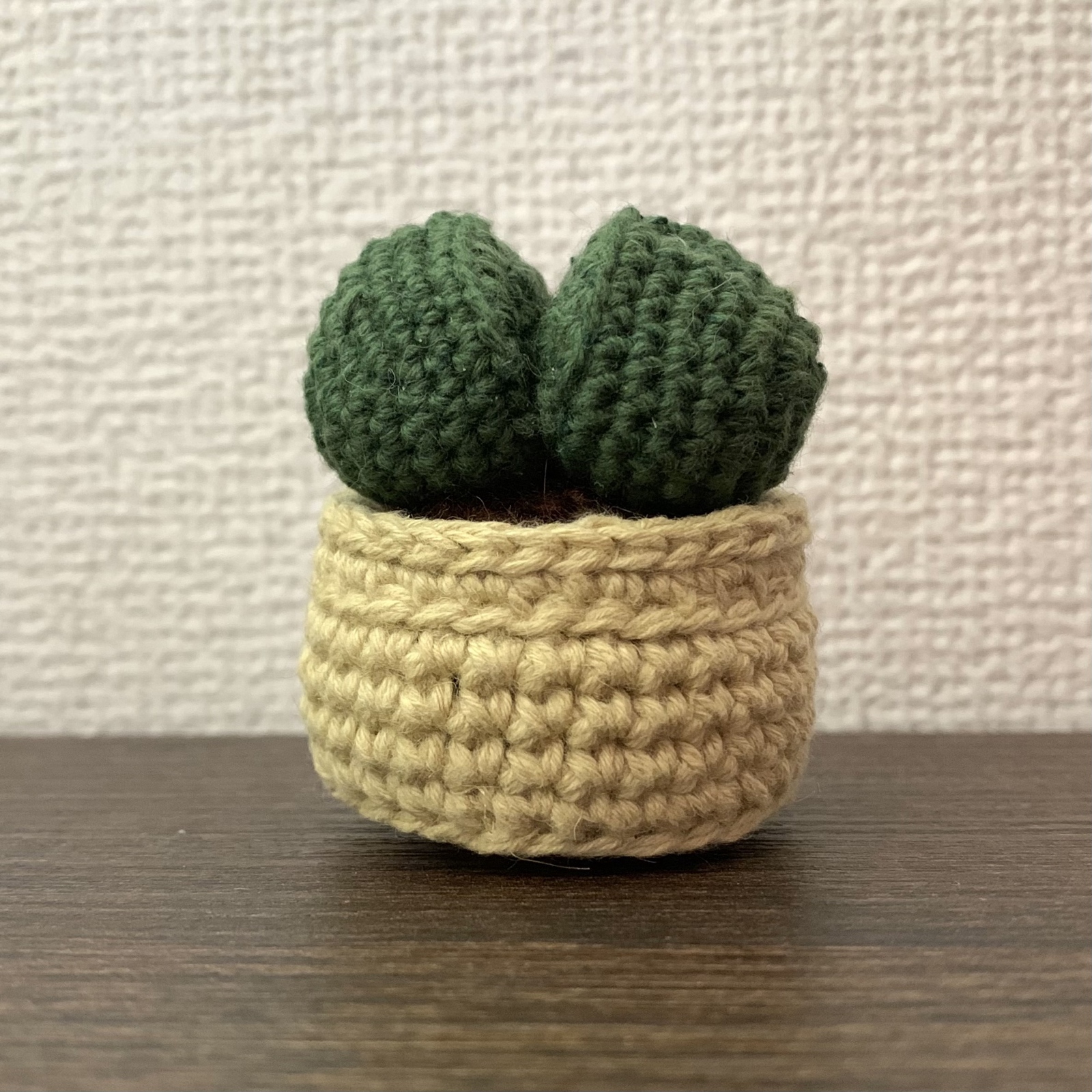 観葉植物　ペンスタンド＆ペンカバー　編みぐるみ　ハンドメイド How to crochet a【Crochet Hook Case（Crochet Pencil Case