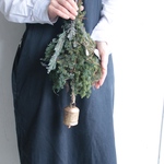 【早割クリスマス2025】ハンギングクリスマスツリー　プリザーブド加工針葉樹とアンティークなベルでシックな雰囲気に