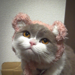 ふわもこ 子熊のかぶり物