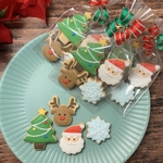 クリスマスクッキー プチギフトセット🎄✨【ネコポス専用】【7個以上のご注文は宅急便コンパクト専用ページへお願いします】