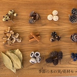 ドライフラワー　季節の木の実　小枝と葉っぱ　15種セット　