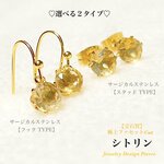 【宝石質】シトリン✨サージカルステンレス✨極上ファセットCut💫ジュエリー天然石ピアス🎀