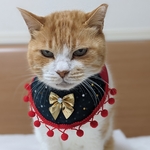 ハッピーXmas