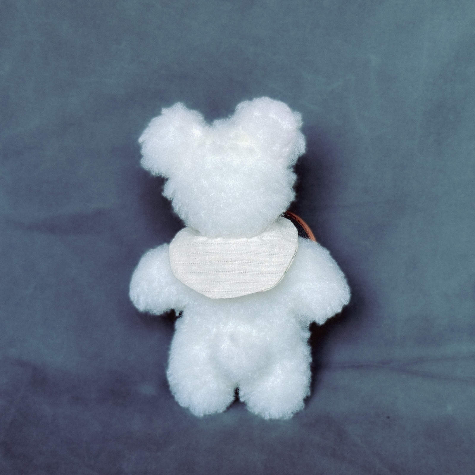 ②「ましろくま」 ぬいぐるみ テディベア - mu-mu-friends | minne