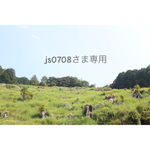 js0708さま専用