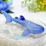 R10　宇宙を宿すガラスのジンベエザメ