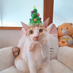 犬 クリスマス ツリー 帽子 グリーン ♡ 猫  帽子 ペット 被り物 かぶりもの 冠  サンタ
