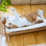 受注生産品【リアルダウン使用】 ハンモックタイプの 羽毛ペットベッド　クッション　（犬や猫に最適）　サステナブル