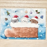 🎄透明水彩画「わんちゃんたちのクリスマス」イラストポストカード２枚セット 犬　トイプードル　クリスマスカード　クリスマス　クリスマスプレゼント　クリスマスギフト　バースデーカード