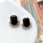 noir crystal pierce / earring