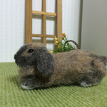 オーダー作品  ロップイヤーのうさぎさん