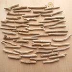 流木  約7～10.5cm 50本セット 210884