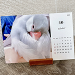 （1月始まり）2025年卓上カレンダー