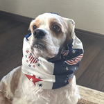アメリカン星条旗柄★ネイビー×ホワイト　犬用スヌード　中型犬用スヌード