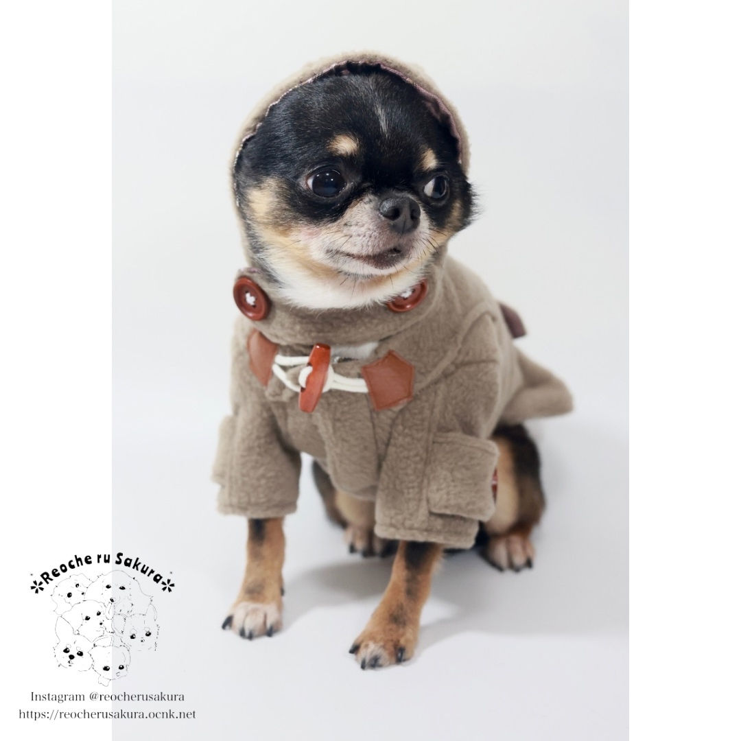 ハンドメイド　ダッフルコート　オーダー小型犬 ハンドメイドダッフルコートオーダー小型犬