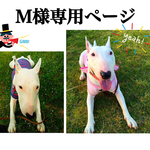 ma様愛犬ちゃん🎵