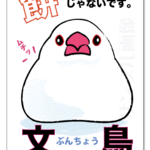 ポストカード　文鳥は餅じゃない