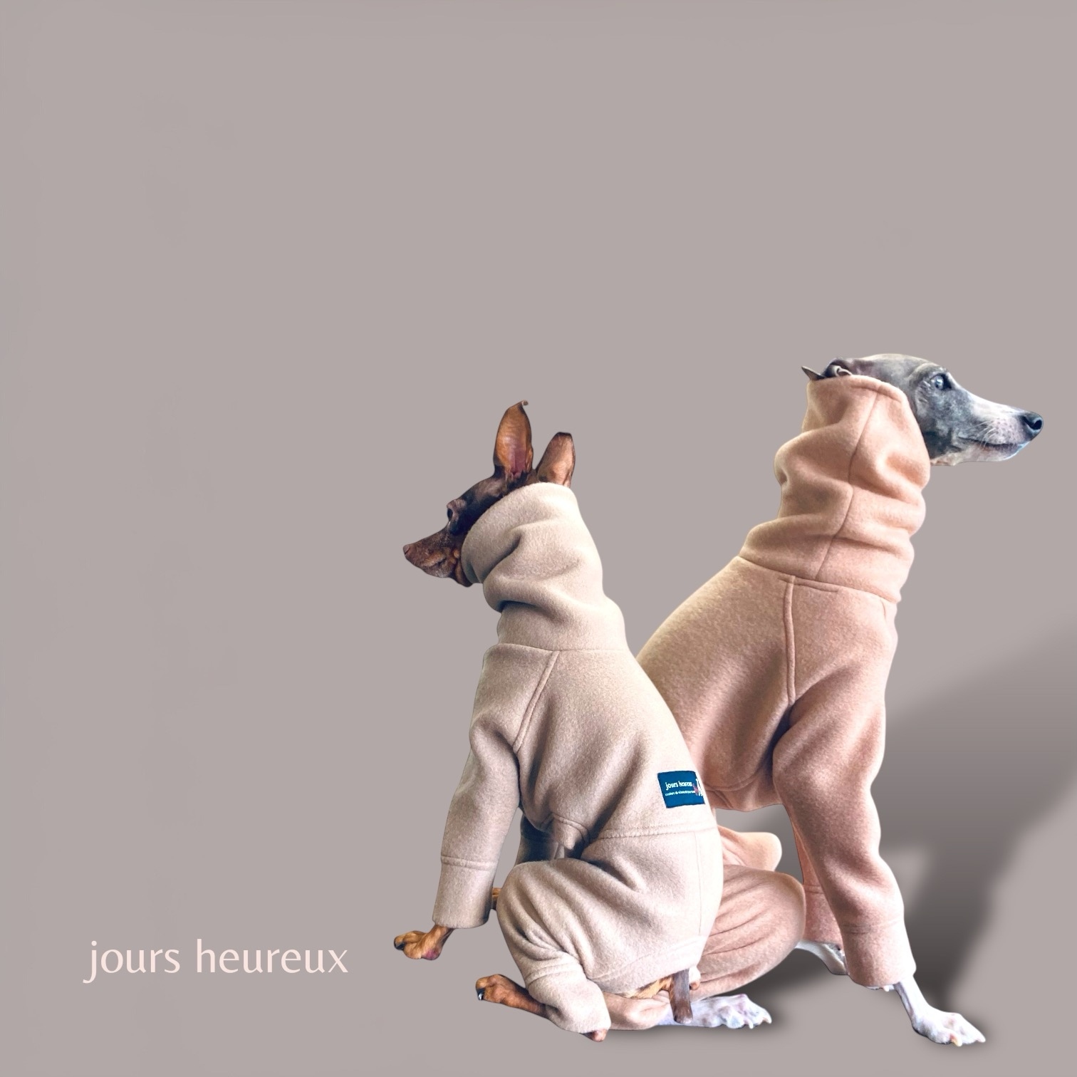 【ミニピン トイマン イタグレ ウィペット】クラシカルフリース カバーオール 楽天市場】イタグレ ミニピンの通販