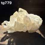 カンチェンジュンガ産 クラスター tg779