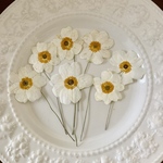 sale[押し花素材]  秋明菊　茎付き