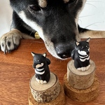 柴犬　彩色オーダー作品　素体①