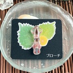 新鮮な生イカ ミニ ブローチ