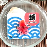 【NEW!】新鮮！生たこ ミニ ブローチ