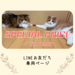 うちの子キーホルダー/ねころびじかんLINEお友だち専用ページ