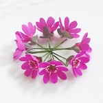 ﾐﾆ布花♡雪割草 (ﾕｷﾜﾘｿｳ)＊ﾋﾟﾝｸ2本ｾｯﾄ♡素材