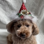 キラキラクリスマスサンタ帽子🎅赤　