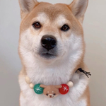 飛行機耳柴犬の羊毛フェルトネックレス(クリスマスカラー)