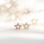 First star ～輝く星のピアス｜イヤリング変更可｜アレルギー対応｜SLV925