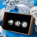 大人のスノードーム-クリスマスコフレ-