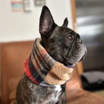 □new□起毛チェック（赤紺）　ネックウォーマー