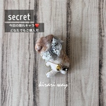 ❾secretうさぎのブローチ 着せ替え 羊毛フェルト 