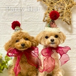 【ペット用】パーティーハット *⋆⸜ Xmas ver. ⸝⋆*あご紐シフォン（あご紐45cm×2）（ベビークラウン ニューボーンフォト 100日 ハーフバースデー 誕生日 犬 猫 うさぎ）