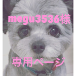 megu3536様専用ページ
