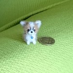 チワワ フォーン&ホワイト パピー羊毛フェルト