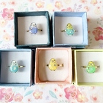 ずっと一緒リング💍セキセイインコ