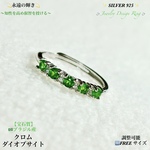 【宝石質】クロムダイオプサイト×⑤石✨Silver.925💍ジュエリー天然石リング指輪🆓フリーサイズ💍