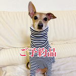 イタグレ用☆リブニットハイネックシャツ