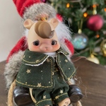 🎄クリスマスコフレ2024🎄 【小さな星の王子様Bセット】マント付き