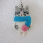 マフニャー猫（アメショ）