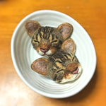 オーダーねむねむ猫ちゃんのチャーム×2個
