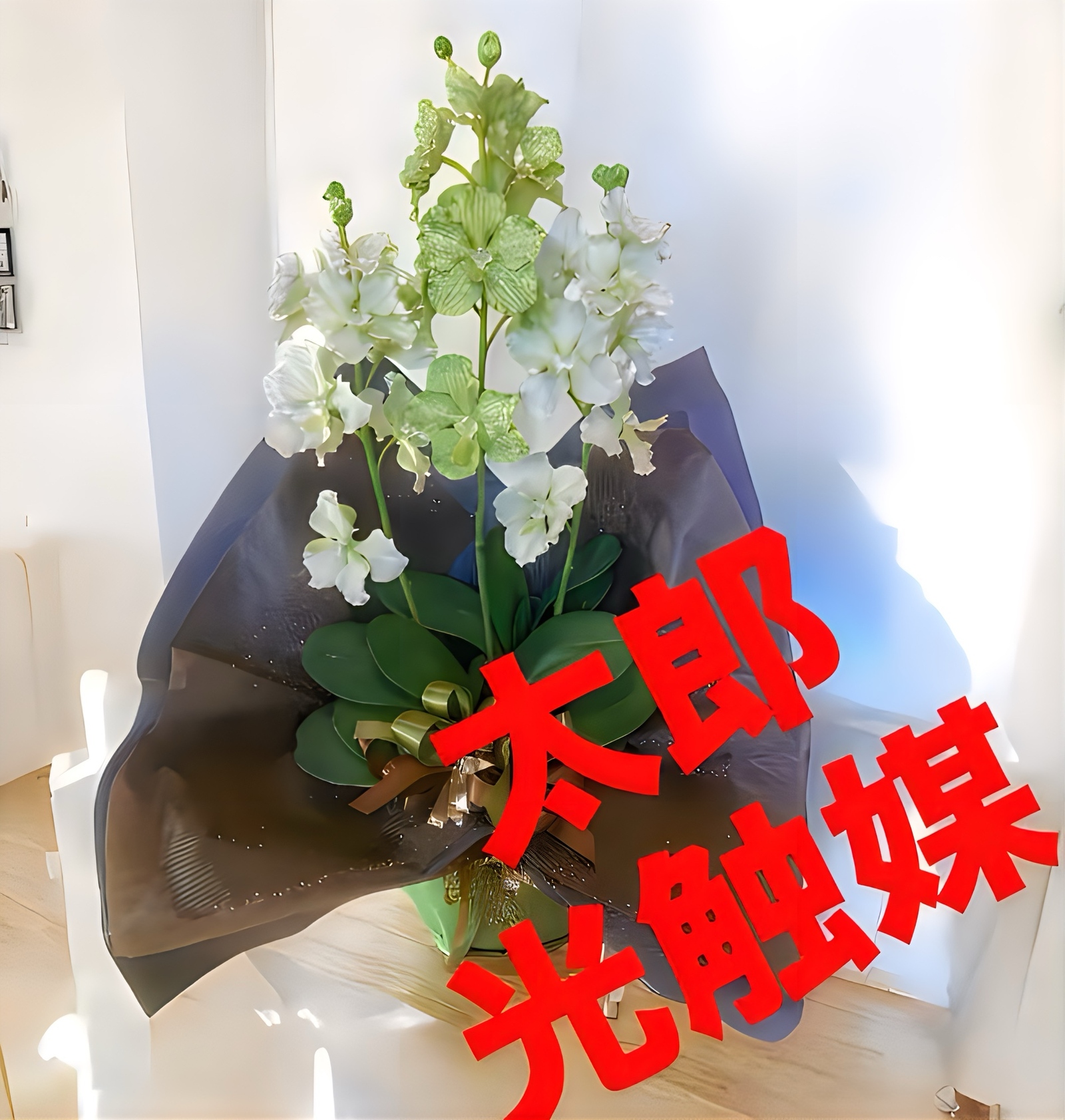 光触媒　人工観葉植物　ウォールグリーン　フェイクグリーン　胡蝶蘭　パンダオーキッド8760