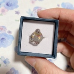 ずっと一緒リング💍鳩(ドバト)さん